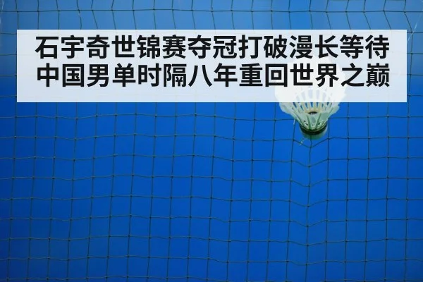 badminton net play