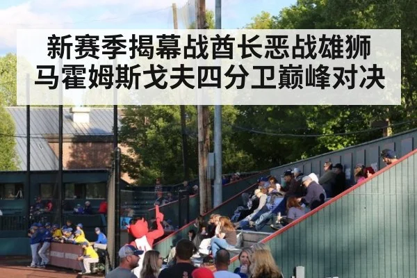 新赛季揭幕战酋长恶战雄狮 马霍姆斯戈夫四分卫巅峰对决