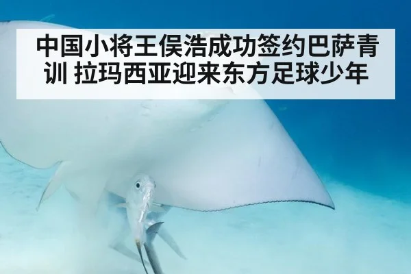中国小将王俣浩成功签约巴萨青训 拉玛西亚迎来东方足球少年